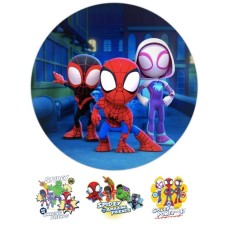 712dz Spidey si prietenii sai imagine comestibila rotunda din icing D14.5cm